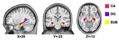 Shared and distinct functional connectivity of hippocampal subregions in schizophrenia, bipolar disorder, and major depressive disorder